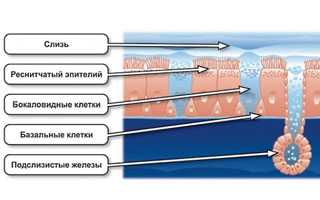 Как доктор Комаровский советует лечить сопли