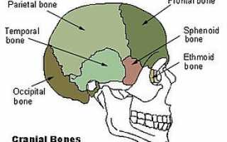 Перелом основания черепа