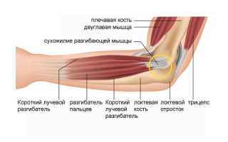 Боль в локтевом суставе. Что делать и как проводить лечение?