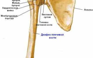 Перелом плечевой кости